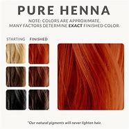 Image result for Henna Hair and Beard Dye