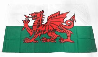 Image result for Wales Flag without Dragon