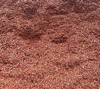 Image result for Rp Wood Mulch