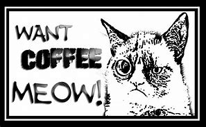 Image result for Grumpy Cat with Coffee