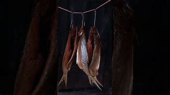 Image result for Smoking Bangus