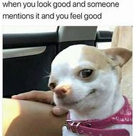 Image result for funny memes no text animals