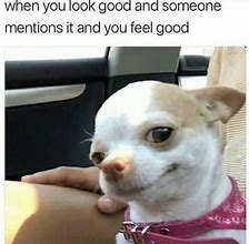 Image result for funny memes no text animals