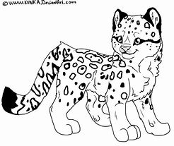 Image result for Snow Leopard Back Markings