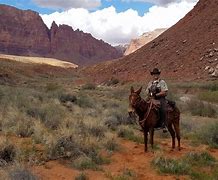 Image result for Arizona BLM Conservation Ranger