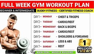 Image result for Bodybuilding Workout Routine