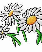 Image result for Simple Daisy Flower Clip Art