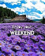 Image result for Have a Good Weekend Flowers