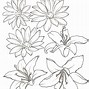 Image result for Lilly Name Outline