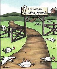 Image result for Far Side Chicken Soup Cartoon