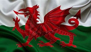 Image result for Welsh Dragon USA Flag