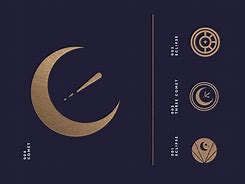 Image result for Moon Hip Logos