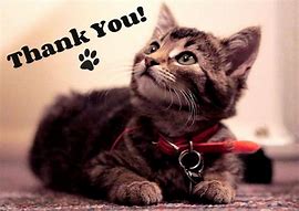 Image result for Thank You Word Illustration Cat