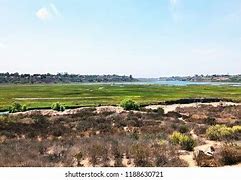 Image result for Upper Newport Bay Nature Preserve