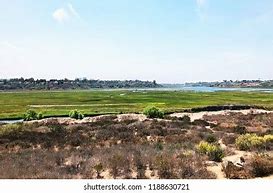 Image result for Upper Newport Bay Nature Preserve