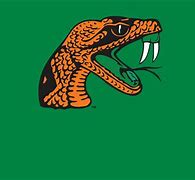 Image result for FAMU Athletics