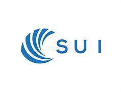 Image result for Sui Logo Black Background