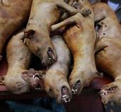 Image result for Dog Meat in Nigeria