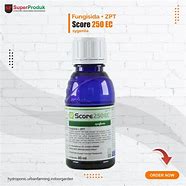 Image result for Tananam Obat