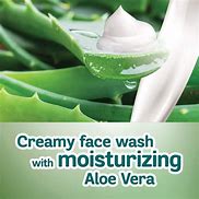 Image result for Himalayan Moisturing Aleo Vera Face Wash