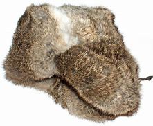 Image result for Rabbit Fur Ushanka