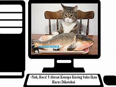 Image result for Taurin Ikan