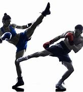 Image result for Kickboxing Pole