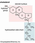 Image result for Cholesterol Molecule Comic