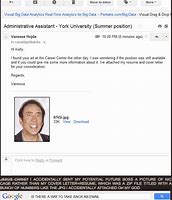 Image result for Fun Facts About Resumes