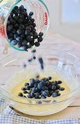 Image result for Blueberry Tip Borer