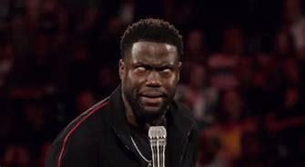 Image result for Kevin Hart Exactly Meme