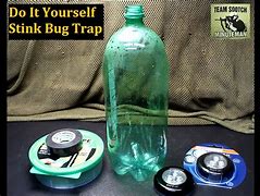 Image result for Stink Bug Catcher