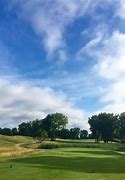 Image result for TPC Michigan Golf