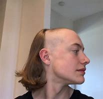 Image result for Clean Cut Mullet