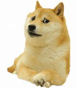 Image result for Doge Sad Logo