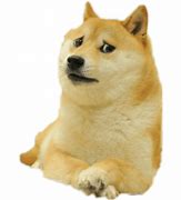 Image result for Doge Sad Mood