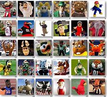 Image result for American Football Mascots