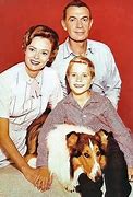 Image result for Lassie Show