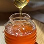 Image result for Beginning Beekeeping