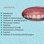 Image result for Attached Gingiva