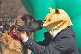 Image result for Doge Mask