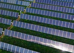 Image result for Solar Renewables