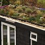 Image result for Green Roof Garden