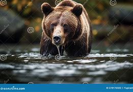 Image result for Panda Eating Fish