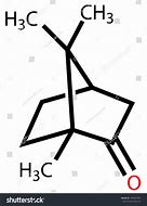 Image result for Camphor Condensed Structural Formula