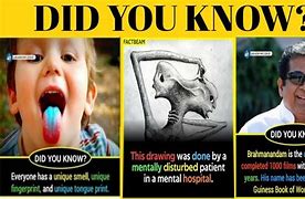 Image result for Interesting Did You Know Facts