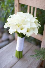 Image result for Calla Lily Bridal Bouquet Images