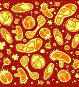 Image result for Protozoan