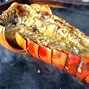 Image result for Ketam Bangkang