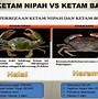 Image result for Ketam Batu vs Ketam Nipah